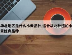 华北地区是什么小麦品种,适合华北种植的小麦优良品种
