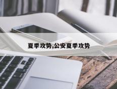 夏季攻势,公安夏季攻势