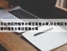 华北地区种植冬小麦还是春小麦,华北地区主要种植冬小麦还是春小麦