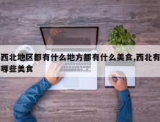 西北地区都有什么地方都有什么美食,西北有哪些美食