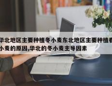 华北地区主要种植冬小麦东北地区主要种植春小麦的原因,华北的冬小麦主导因素