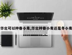华北可以种春小麦,华北种春小麦还是冬小麦