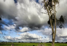 华北地区三维地图高清版，华北地区三维地图高清版图片