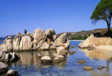 四川属于华南地区吗，四川属于华南嘛