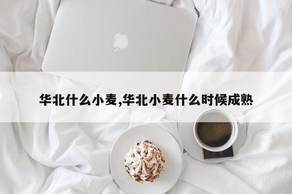 华北什么小麦,华北小麦什么时候成熟