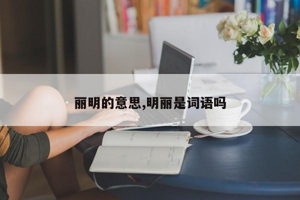 丽明的意思,明丽是词语吗