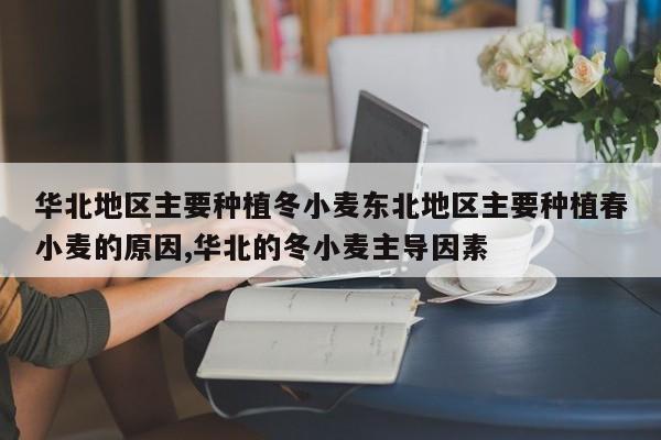 华北地区主要种植冬小麦东北地区主要种植春小麦的原因,华北的冬小麦主导因素