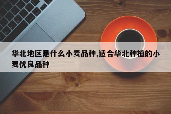 华北地区是什么小麦品种,适合华北种植的小麦优良品种