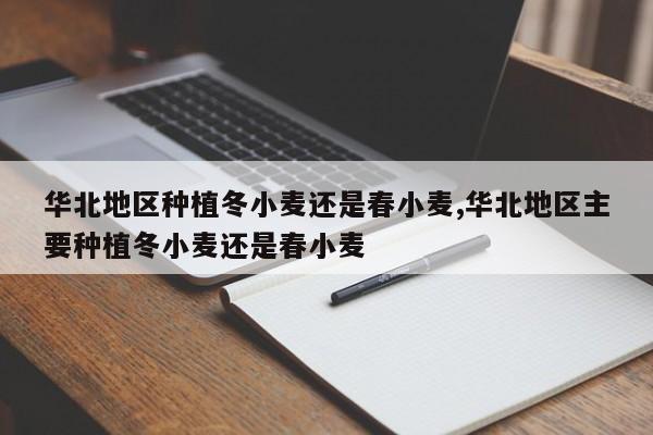 华北地区种植冬小麦还是春小麦,华北地区主要种植冬小麦还是春小麦