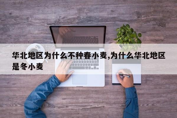华北地区为什么不种春小麦,为什么华北地区是冬小麦